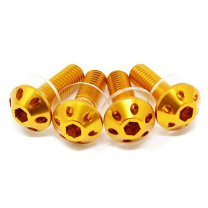 SPEEDRA A~oXN[{g 4{Zbg J[ S[h ASB0104GD SPEEDRA XN[֘Ap[c oCN ėp