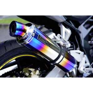 BMS RACING FACTORY R-EVO XbvI}t[ q[g`^ {F G177-53-P1J BMS }t[{ CBR250RR