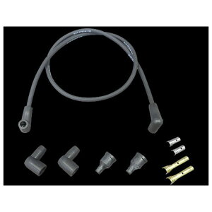 BLUE STREAK ėpvOR[h 2vOpiubNj E014809 [J[݌ɂ u[Xg[N vO oCN 2vOn[[