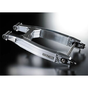 SCULPTURE 17C`pChXCOA[ Ninjap AWX^[^Cv J[ Vo[ SC-010WSNAS XJv`[ tgtH[N֘Ap[c GPZ900R