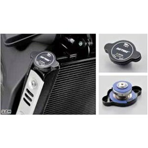 DAYTONA WG^[Lbvi1.1kg/cm2j 96378 [J[݌ɂ fCgi ̑pnp[c oCN ėp