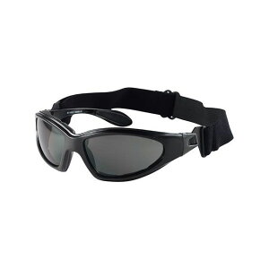 RIDEZ HAWK SUNGLASSiX[Nj RS-10065S CY TOX oCN