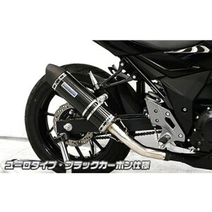 WirusWin GSX250Rp XbvI}t[ [^Cv TCT[ ubNJ[{dl ECYEB }t[{ oCN GSX250R