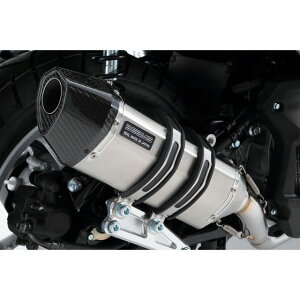 BEAMS CORSA-EVO II }t[ XeX {F G244-64-000 r[X }t[{ oCN N-MAX
