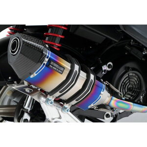 BEAMS CORSA-EVO II }t[ q[g`^ {F G220-65-001 r[X }t[{ oCN VOiX X Fiifj