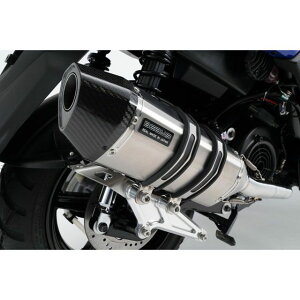 BEAMS CORSA-EVO II }t[ XeX {F G243-64-000 r[X }t[{ oCN BWfs125ifj