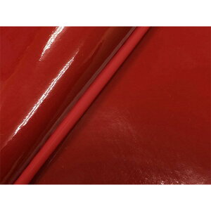 Grondement AhX110iEBJ-CE47Aj4Xg[N/XYL Oh}YV[gJo[ ցiGibh/ԃpCsOj GH5576SC560P40 Oh} V[g֘Ap[c oCN AhX110