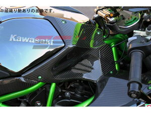 SPEEDRA ^NtgJo[ hCJ[{ J[ D艐 CKA0714PM SPEEDRA ^N֘Ap[c oCN NINJA H2/H2R