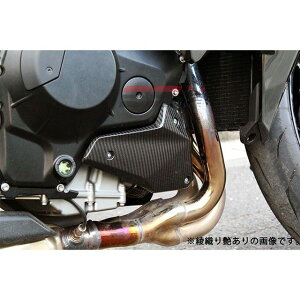 SPEEDRA GWTChJo[ EZbg hCJ[{ J[ D艐 CKA0702TG SPEEDRA GWJo[֘Ap[c oCN NINJA H2