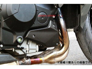 SPEEDRA �G���W���T�C�h�J�o�[ ���E�Z�b�g �h���C�J�[�{�� �J���[ ���D�艐���� CKA0702TM SPEEDRA �G���W���J�o�[�֘A�p�[�c NINJA H2