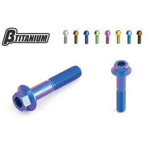 ��TITANIUM ���A�L�����p�[�}�E���g�{���g�L�b�g �d�l �u���E���S�[���h�i�z�Ɏ_������j BT-RCS3-2-BG �x�[�^�`�^�j�E�� ���̑��u���[�L�p�p�[�c GSR750 GSX-S1000