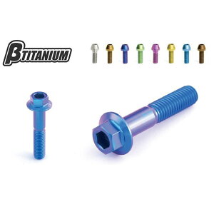 ��TITANIUM �X�e�A�����O�X�e���g�b�v�{���g�L�b�g �d�l �u���E���S�[���h�i�z�Ɏ_������j BT-STH3-2-BG �x�[�^�`�^�j�E�� ���̑��T�X�y���V�����p�[�c CBR1000RR