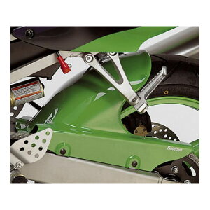 BODY STYLE AnK[ KAWASAKI ZX-9R 2000-2001 h bds_6530505 {fB[X^C tF_[ ZX-9R