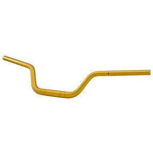 EFFEX C[W[tBbgo[vXiS[hj PBTF762G GtFbNX nh֘Ap[c Z900RS