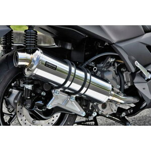 BEAMS R-EVO tGL][Xg}t[ XeX {F G259-53-008 r[X }t[{ oCN X-MAX250