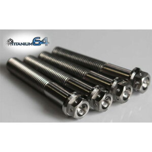 TITANIUM64 �t�����W�w�b�h�{���gM10×70mm P1.25 �J���[ �u���C�g�V���o�[ 64FH-1070 �`�^�j�E��64 ���̑��O���֘A�p�[�c �ėp