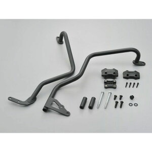 DAYTONA pCvGWK[hiubNj 97406 [J[݌ɂ fCgi GWK[h oCN Z900RS