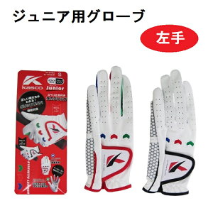 yWjApЎzKasco Junior LbY St܁ijObvNAVI@\ 14cm`19cmqp LXRWjA