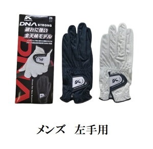 wStO[ux Y  LXR SFST-2312 St St O[u  v v ϋv jp SV^ StOu lHv  J[i zCg/ ubNj