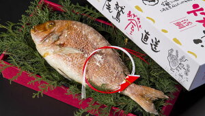 ̐X ߂ł  ߂ł  900g    ^C t ` Od h c j قق }Ⓚ ^pbN Yn