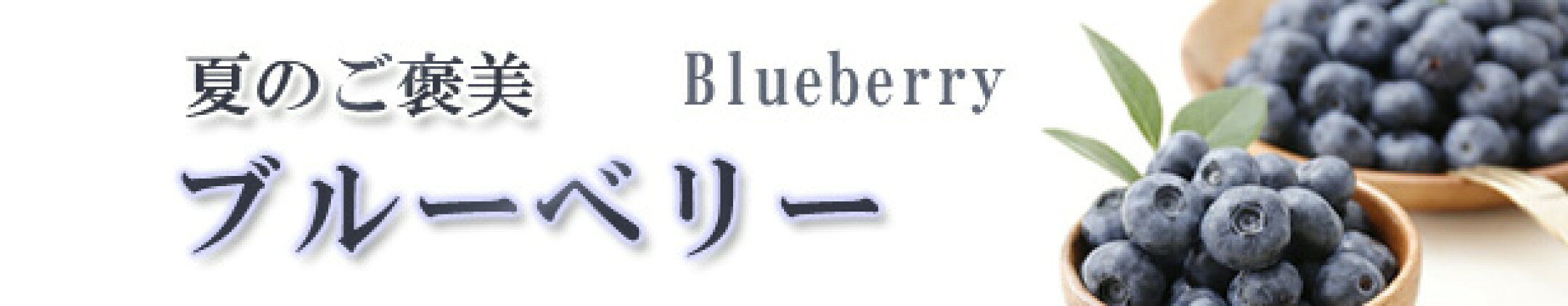 ブルーベリー
