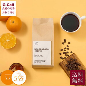 IXeBWp ^UjAY u[}Ee nj[   100g×5  SSER[q[ NGORONGORO COFFEE R[q[ OSTI
