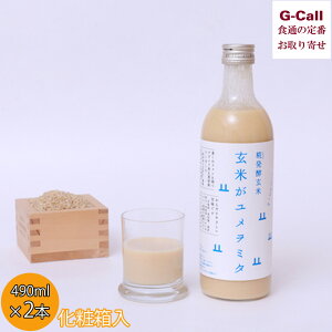 W y Ă~^ ϔ 490ml×2{ kC/l/BEꑗ \tghN Î N hN AR[t[ y