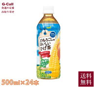 サーフビバレッジ とうもろこしのおいしいひげ茶 500ml 24本入り 指定日不可 送料無料 飲み物 お茶 とう…