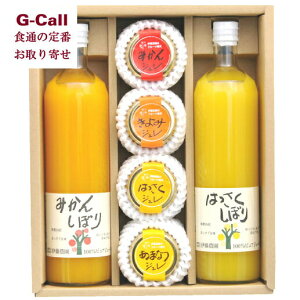 ɓ_ 100sAW[X 750ml 2{ W 4 kCEꑗ Xg[g  V-073 Mtg