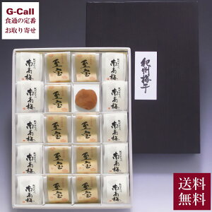 o }}Hi IB~  v20 10 I̘a10  ͂̂ ~ ߂ڂ  Mtg  a̎R 