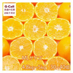 QY ݂ M[MLTCY 4.8~5kg 30`40ʓ 12{1{o kCEꑗ ݂  k l m[bNX Yn