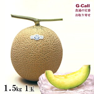 ÉY NE 1.5kg 1 ʕ̉l   }XN̉l L@엿͔| KX  ʕ t[c   Mtg