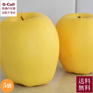 茧Y ͂邩 5 R x 12{`12{o ws   S ʕ t[c  {   Mtg Ε