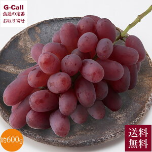 x RYԂǂ   600g 1[ 11{`12{ ws  uhE  ʕ t[c  R Yn Mtg 