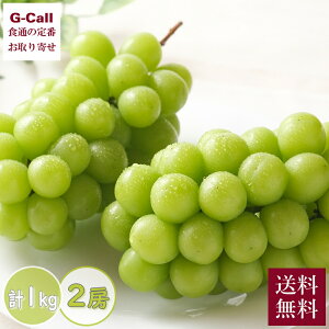 Gi VC}XJbg 2[ v1kgȏ 9{`11{ ws  uhE Ԃǂ  { ʕ  t[c ϔ 