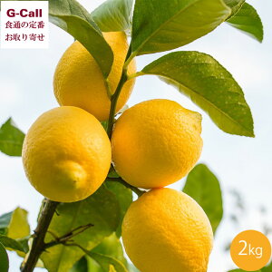 WH _ A[J 2kg 10{`5{o ws kCEꑗ   k ʕ t[c _ Yn 