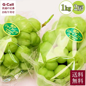 p ˃WCAc Gi 2[ 1kgȏ 9{`10{ ws Gi ʕ t[c lCi { Ԃǂ  W[V[  Yn