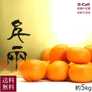 G QY ̊ۂ݂ S[h痼 S`M 5kg 11{`12{o ws  ʕ t[c ݂ ~J ݂ Mtg 