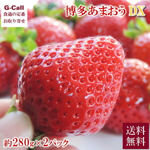 JA ܂ DXpbN 280g 2pbN 1{`3{o ws  ʕ t[c C`S    Mtg Yn Y