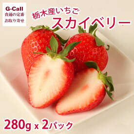 栃木産いちご スカイベリー 280g 2パック 1月下旬〜4月中旬出荷 指定日不可 北海道・四国・九州・沖縄送料別 大粒 苺 イチゴ 果物 フルーツ 旬 高糖度 贈答