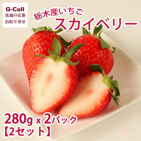 栃木産いちご スカイベリー 280g 2パック 2セット 1月下旬〜4月中旬出荷 指定日不可 北海道・四国・九州・沖縄送料別 大粒苺 イチゴ 果物 フルーツ 旬 高糖度