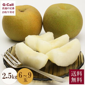 千葉県産 白井の梨 幸水 約2.5kg 6〜9玉 8月上旬から中旬出荷 送料無料 秀品 梨 ナシ なし フルーツ 果物 くだもの ギフト 贈答 和梨 千葉 産地直送 お取り寄せ