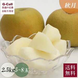 tY ̗ H 2.5kg 5`8 9{9{o  Yn a iV t[c  ʕ Mtg  Â x W[V[