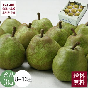 R`Y tX 3kg Gi 8`12 11{`12{o ws BEꑗ m JAĂǂt[Y iV Ȃ  t[c Mtg Yn