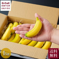 【指定日不可】国産バナナ NEXT 716 ミニバナナ 1kg 北海道・沖縄送料別 ネクストファーム 果物 フルーツ…
