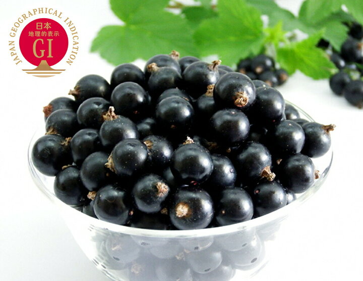 楽天市場 あおもりカシスの会 特別栽培 カシス 果実 冷凍 1kg 送料無料 果物 フルーツ ブラックカラント 黒すぐり G Call 食通の定番 お取り寄せ