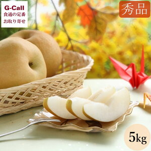 Gi Y 쐅 ۔ 5kg 9{10{o   iV Ȃ t[c  ʕ { s꒼ Mtg   x i 蕨