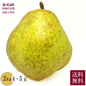 R`Y ʃEtX ʘA 2kg 4-5 11{`{o ws  tX m  Ȃ iV t[c ʕ Mtg  