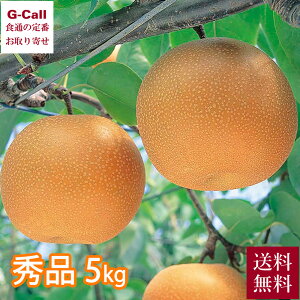 쌧Y 쐅 D Gi 5kg 9{10{o  ʕ   a iV D x 쐅 t[c  Â MB  Mtg