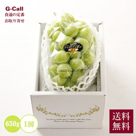 晴王 岡山県産 650g 1房 7月上旬〜8月中旬出荷 指定日不可 送料無料 果物 フルーツ シャインマスカット 葡萄 生産者直送 大粒 旬 秋の味覚 高糖度 お取り寄せ